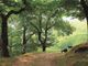 Immagine ticino.ch
