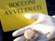 Lugano, in 151 chiedono aiuto alla Città per il reiterarsi dei casi di bocconi avvelenati per cani