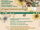 &quot;Festa d'autunno&quot;: si avvicina il tradizionale evento nella città di Chiasso