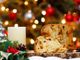 A Bellinzona torna il tradizionale pranzo di Natale
