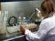 La Svizzera firma quattro contratti per lo sviluppo di farmaci contro il Covid-19