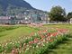 Aderendo a &quot;1 Tulipano per la Vita&quot;, Lugano rende omaggio alle donne vittime di tumore al seno