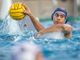 Pallanuoto: Lugano Sharks, vittoria sul Basilea e quarto posto in classifica