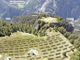 Svizzera, il Vallese dice sì ai parchi solari