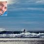 Corpo ritrovato in mare in Libia, potrebbe essere del kitesurfer Mimmo Piepoli scomparso dal 1° maggio Corpo ritrovato in mare in Libia, potrebbe essere del kitesurfer Mimmo Piepoli scomparso dal 1° maggio