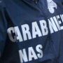 Brescia, neonato circonciso su tavolo da cucina in casa: denunciato cardiologo