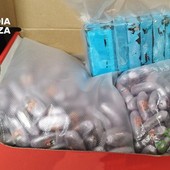 La droga sequestrata all'automobilista svizzero La droga sequestrata all'automobilista svizzero