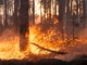 Incendio boschivo sotto la zona Prato Grande, nel Luganese Incendio boschivo sotto la zona Prato Grande, nel Luganese