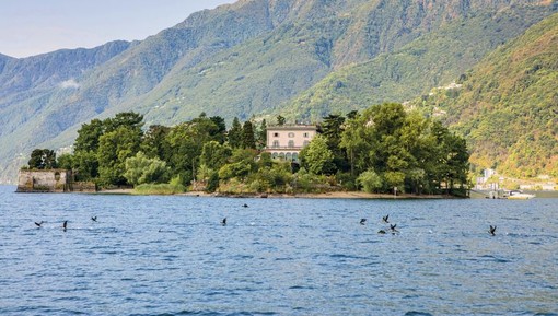 Luoghi del Ticino da non perdere: le Isole di Brissago ed il Giardino Botanico