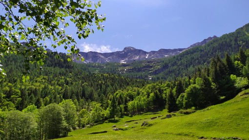 Al concorso letterario 'Salviamo la Montagna' si premiano le scuole