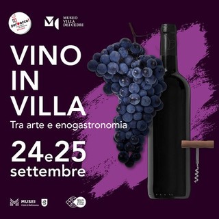 Venerdì 24 e sabato 25 settembre, dalle 18 alle 24, a Bellinzona c'è &quot;Vino in villa&quot;