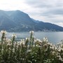 Nuovo giardinetto di Loreto, inaugurazione sabato 12 aprile