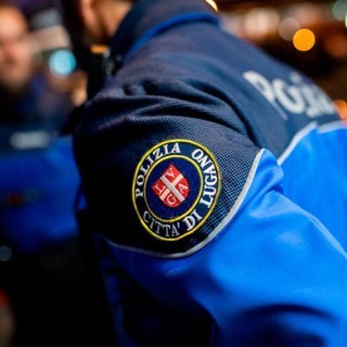 Furto in gioielleria in Canton Ticino: tre uomini in fuga fermati dalla polizia nei boschi di Indemini