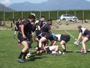 Rugby. Lugano chiude con il botto: superato il Berna e vittoria della Regular Season