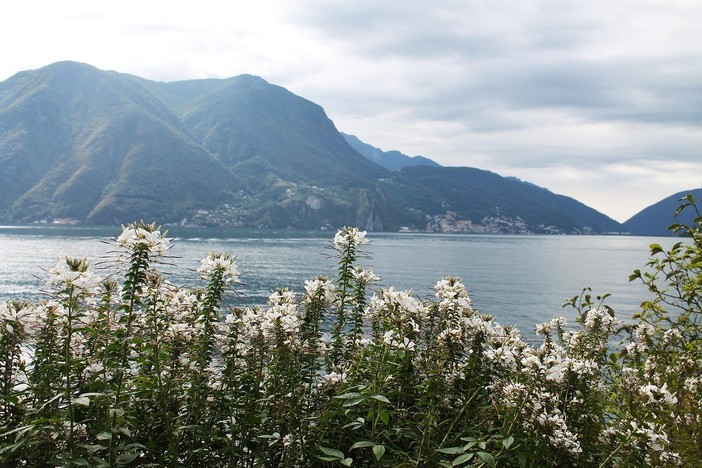Mercato in Darsena, Lugano accende l'esposizione artigianale