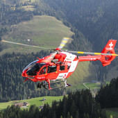 Precipita sulle rocce in Canton Ticino: grave un 47enne Precipita sulle rocce in Canton Ticino: grave un 47enne