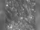 Razzo Space X precipita sulla Luna: le immagini del nuovo cratere creato dall'impatto Razzo Space X precipita sulla Luna: le immagini del nuovo cratere creato dall'impatto