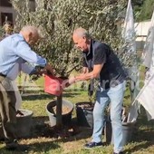 A Pontida il tributo a Bossi: Calderoli e Leoni piantano un ulivo e cantano 'Va pensiero' A Pontida il tributo a Bossi: Calderoli e Leoni piantano un ulivo e cantano 'Va pensiero'