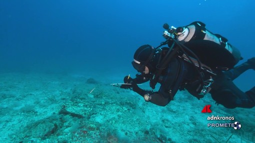 Clima, mare caldo fino a 40 metri di profondità