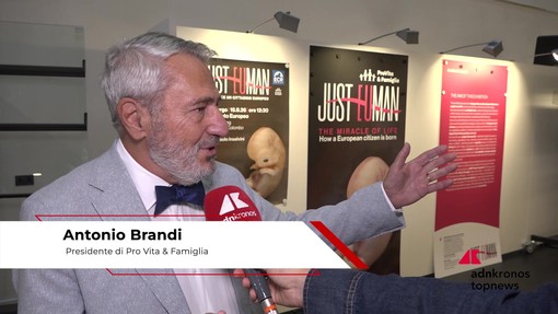 Brandi (Pro Vita): "Mostra 'Just Euman' per mostrare che la vita comincia al concepimento" Brandi (Pro Vita): "Mostra 'Just Euman' per mostrare che la vita comincia al concepimento"