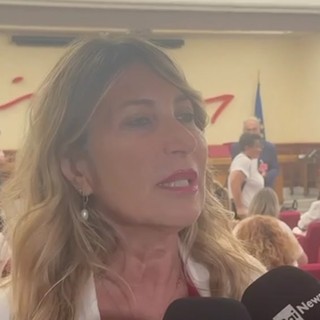 Una legge contro le 'botticelle' nelle strade: "Barbarie sui cavalli"