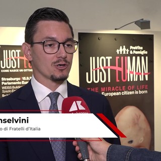 Inselvini (FdI): "All'Europarlamento si difende più le uova degli uccelli che la vita nel grembo"