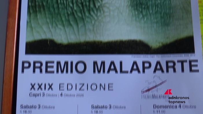 Premio Malaparte 2026, a Capri il riconoscimento a Samanta Schweblin Premio Malaparte 2026, a Capri il riconoscimento a Samanta Schweblin