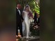 Aurora Ramazzotti si sposa, il video dell'ingresso con papà Eros Aurora Ramazzotti si sposa, il video dell'ingresso con papà Eros
