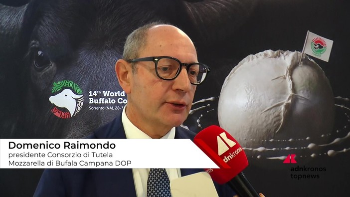 Raimondo (Consorzio Tutela Mozzarella di bufala campana Dop): "Siamo come cani da tartufo contro i falsi" Raimondo (Consorzio Tutela Mozzarella di bufala campana Dop): "Siamo come cani da tartufo contro i falsi"