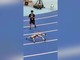 Robot in tilt in Cina, i video di due malfunzionamenti durante la Conferenza mondiale di Pechino