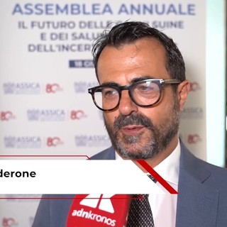 Industria alimentare: Calderone (ASSICA), 'Prosciutto cotto e crudo valgono oltre metà dei consumi' Industria alimentare: Calderone (ASSICA), 'Prosciutto cotto e crudo valgono oltre metà dei consumi'
