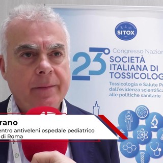 Estate: tossicologo Marano, 'morso di vipera raro, ma pericoloso per i bambini'