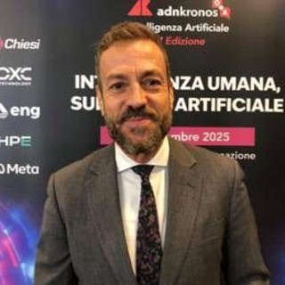 Ai, Da Rin (Infocamere): &quot;Startup che vi operano appartengono a settori software e consulenza It&quot;