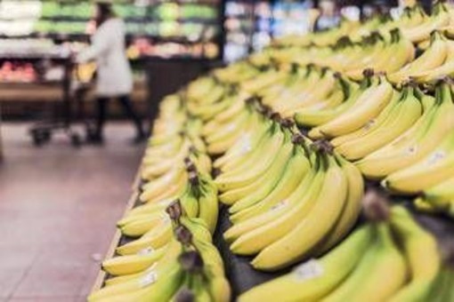 Banana tra potassio e rischio glicemia, meglio acerba o matura? Cosa dice l'esperto