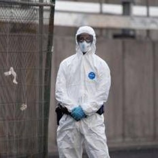 Hantavirus, l'esperta: "Non si rischia nuova pandemia, più letale ma diverso da Covid" Hantavirus, l'esperta: "Non si rischia nuova pandemia, più letale ma diverso da Covid"