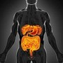 Intestino sempre giovane, è possibile: come fermare invecchiamento e prevenire tumori Intestino sempre giovane, è possibile: come fermare invecchiamento e prevenire tumori