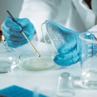 Linfoma mantellare, 'con trattamento chemio-free in prima linea -43% rischio di progressione o morte'