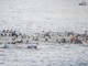 Migranti a Ceuta, Ue: "Solidali con la Spagna e cordoglio per le vittime" Migranti a Ceuta, Ue: "Solidali con la Spagna e cordoglio per le vittime"
