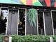 Thailandia, incendio in un bar a Bangkok: almeno 27 morti e oltre 60 feriti