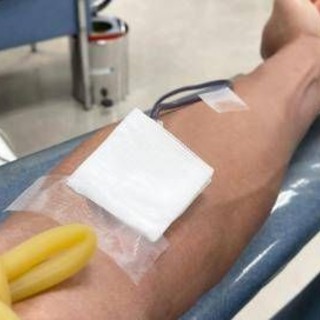 Emergenza sangue in Italia, ecco perché manca soprattutto gruppo 0 positivo Emergenza sangue in Italia, ecco perché manca soprattutto gruppo 0 positivo