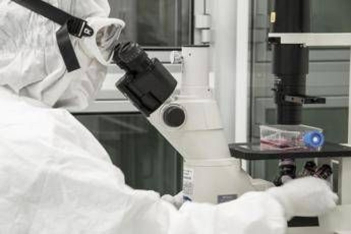 La scoperta per ricaricare le cellule e combattere l'invecchiamento La scoperta per ricaricare le cellule e combattere l'invecchiamento