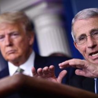 Covid Usa, Fauci si avvale del quinto emendamento. Trump: "Sue idee folli" Covid Usa, Fauci si avvale del quinto emendamento. Trump: "Sue idee folli"