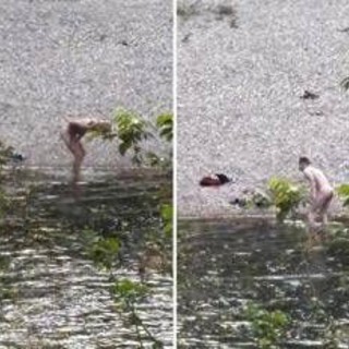 Bagno senza veli nel Brenta, due uomini entrano in acqua nonostante il divieto Bagno senza veli nel Brenta, due uomini entrano in acqua nonostante il divieto