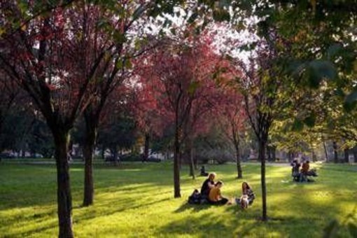 Ultime piogge poi arriva l’estate di San Martino in anticipo: le previsioni meteo