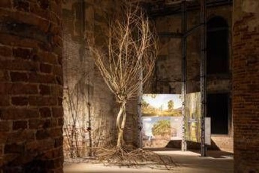 Sostenibilità, Gruppo Saviola: Pannelli Ecologici per Triennale Milano e Biennale Architettura