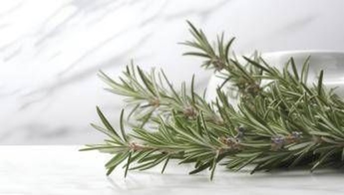 Buccia di limone, basilico e rosmarino: perché farli bollire e le proprietà 'segrete' Buccia di limone, basilico e rosmarino: perché farli bollire e le proprietà 'segrete'