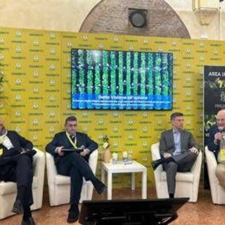 Coldiretti, Italia si riconferma leader produzione in Ue di tabacco Coldiretti, Italia si riconferma leader produzione in Ue di tabacco