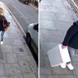 Londra, mistero della 'ladra di langoustine': rubati crostacei, manzo e orchidee rare Londra, mistero della 'ladra di langoustine': rubati crostacei, manzo e orchidee rare