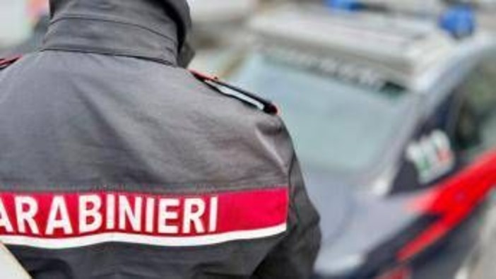 &quot;Ha tentato di allontanarsi dal parco con la mia bimba in braccio&quot;, la denuncia a Roma