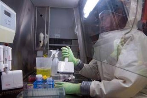 Virus Nipah, studio italiano: sorveglianza in tempo reale per prevenire nuovi focolai